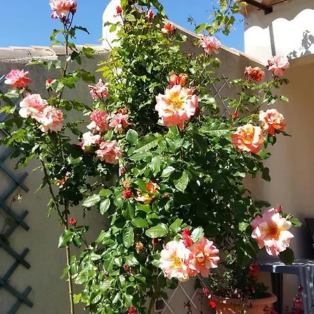Au Bon Penequet